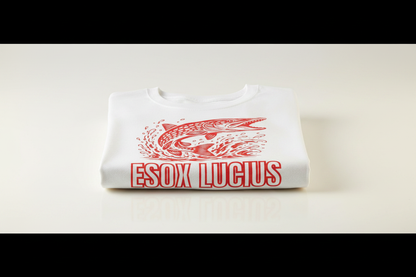 T-shirt bianca piegata